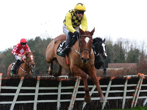 Expert Champion Hurdle Tips for Bets at Cheltenham (update.